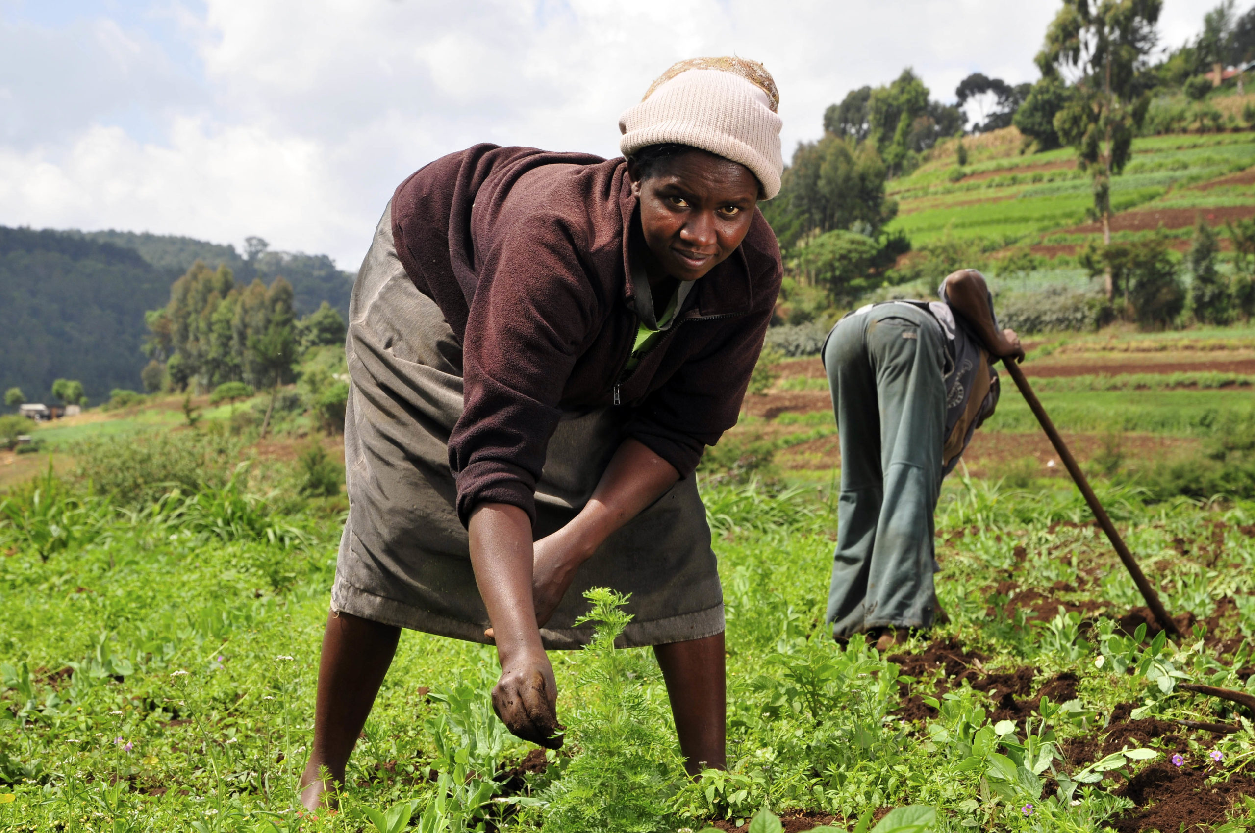 Il latte ovvero il petrolio bianco del Kenya - Celim